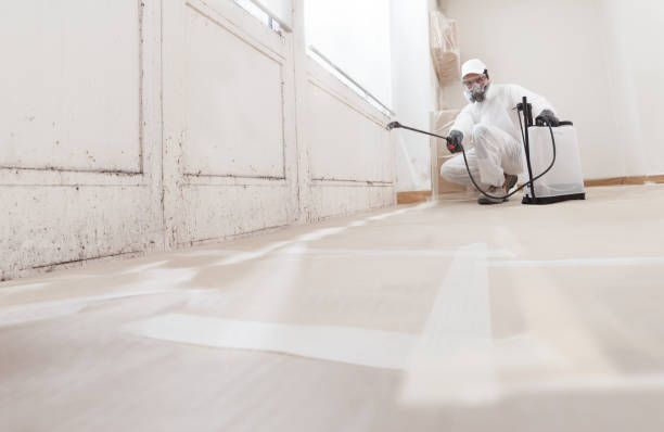 24/7 Emergency Bathroom Mold Removal experts in Fort Belvoir, VA