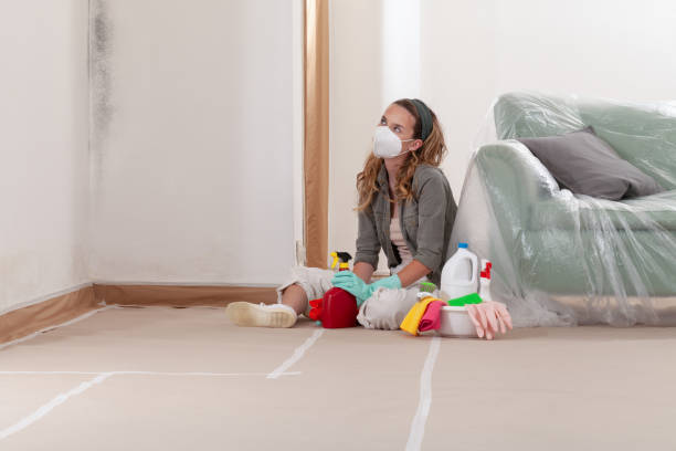 Reliable Bathroom Mold Removal contractor in Fort Belvoir, VA by Mold Remediation HQ